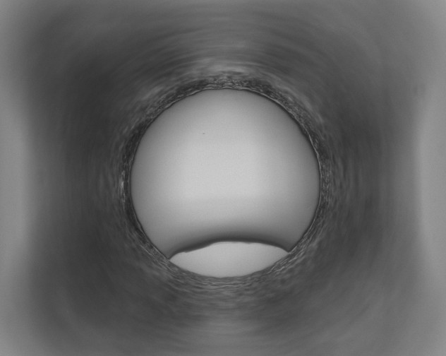 X0000110901013200906180942