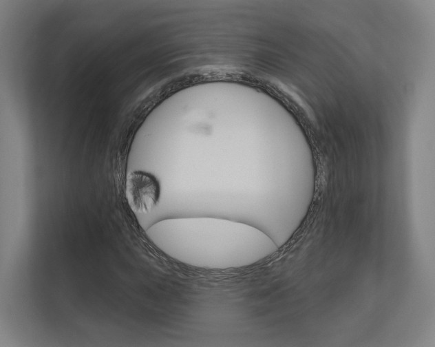 X0000110901015200906180942