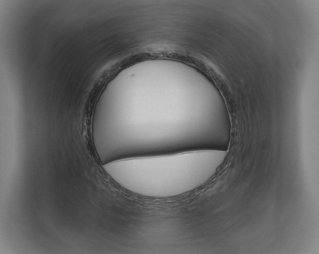 X0000110901016200906180942