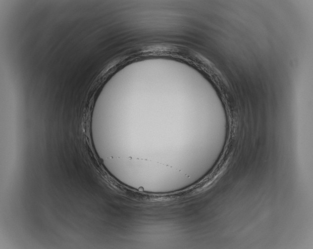 X0000110901017200906180942