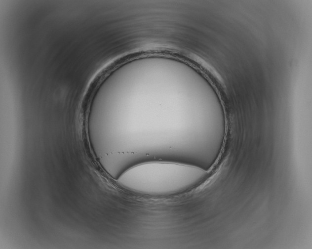 X0000110901021200906180942