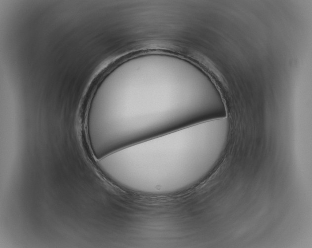 X0000110901024200906180942