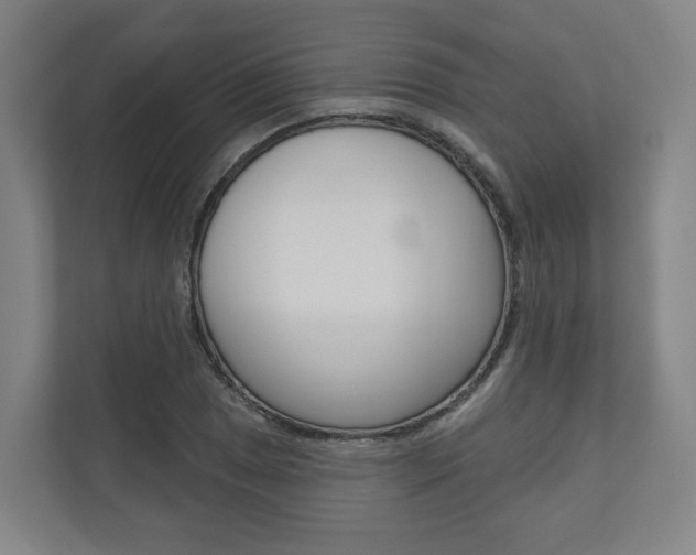 X0000110901025200906180942