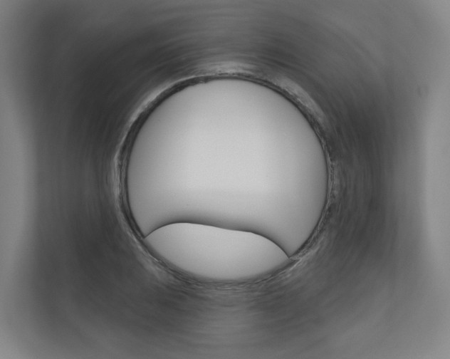 X0000110901031200906180942