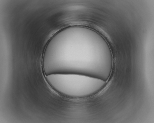 X0000110901033200906180942