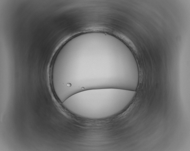X0000110901039200906180942