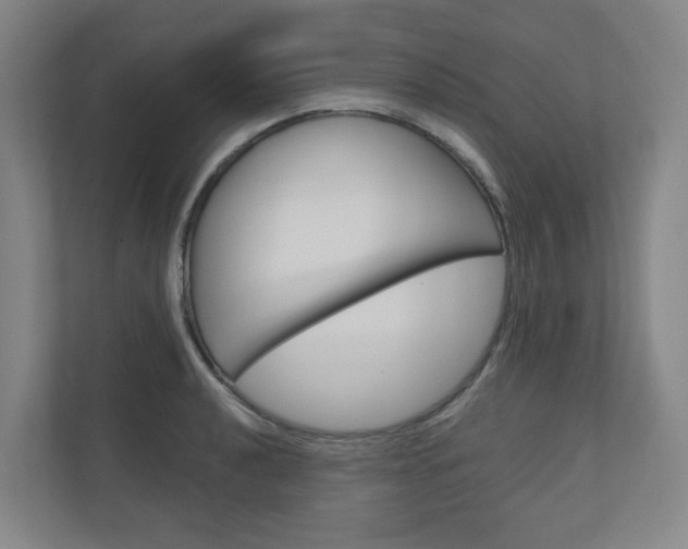 X0000110901040200906180942
