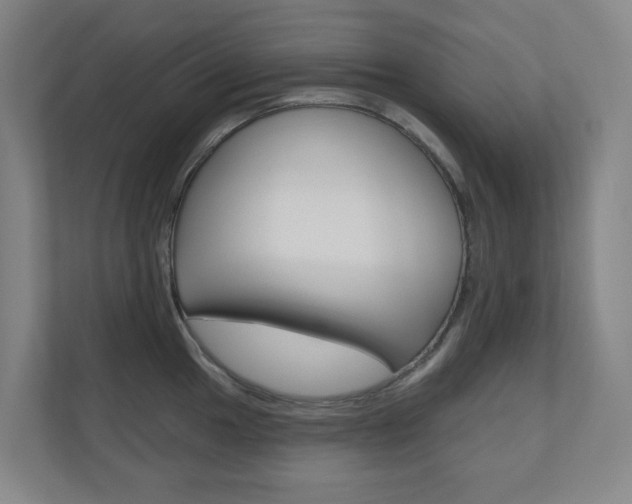 X0000110901049200906180942