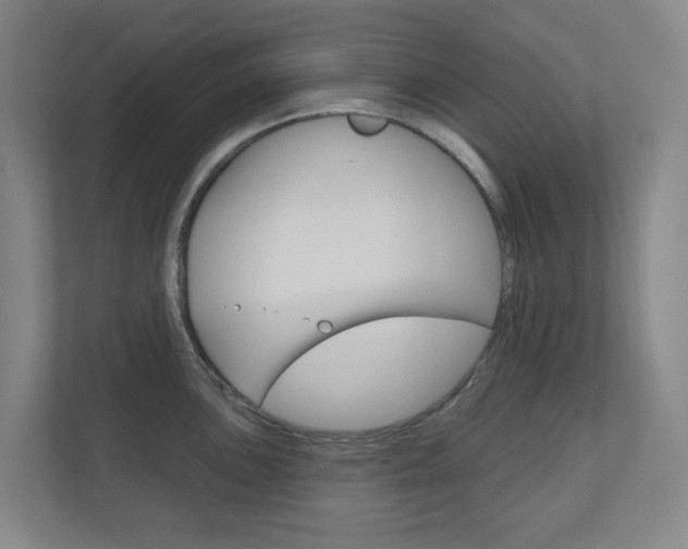 X0000110901051200906180942