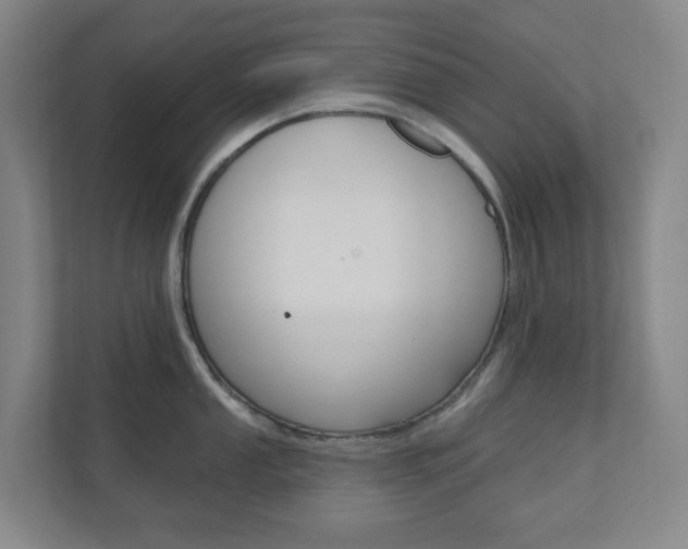 X0000110901053200906180942