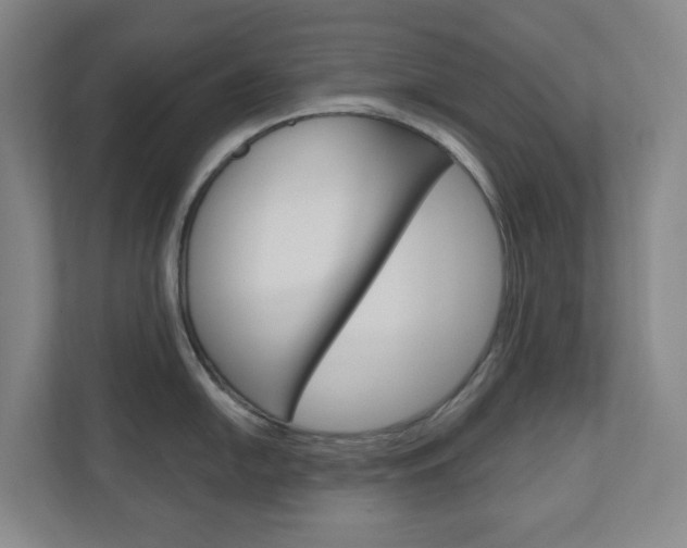 X0000110901054200906180942
