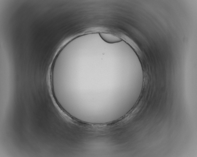 X0000110901055200906180942