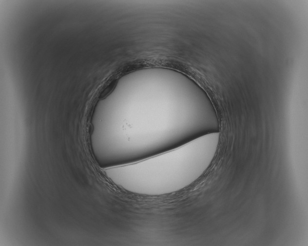 X0000110901057200906180941