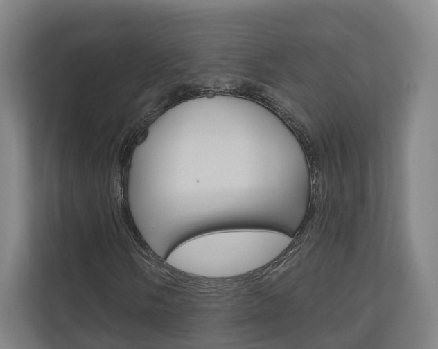 X0000110901058200906180941