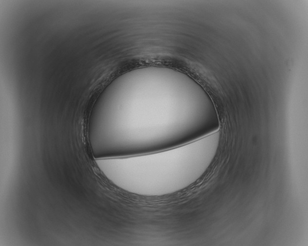X0000110901060200906180941