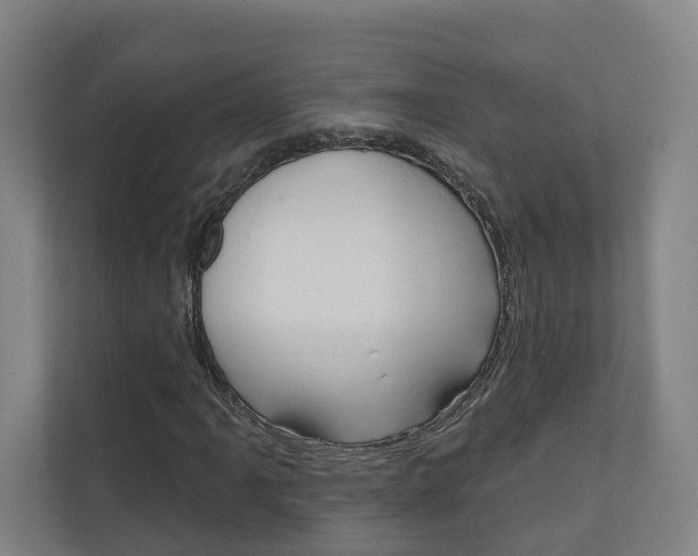 X0000110901061200906180941