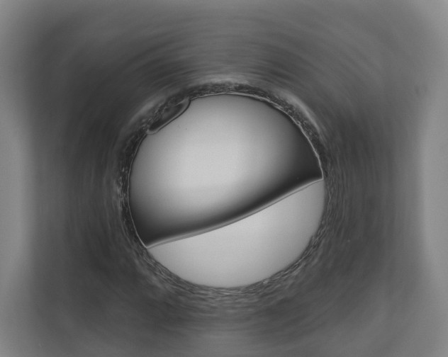 X0000110901064200906180941