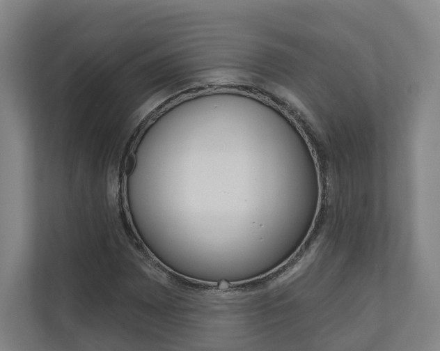 X0000110901065200906180941