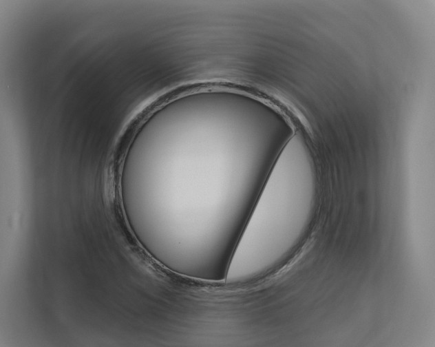 X0000110901069200906180941