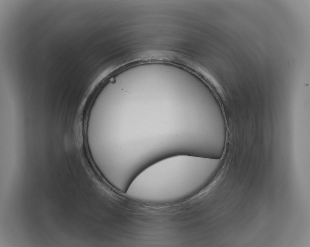 X0000110901075200906180941