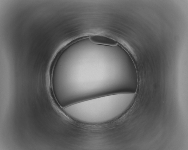 X0000110901080200906180941