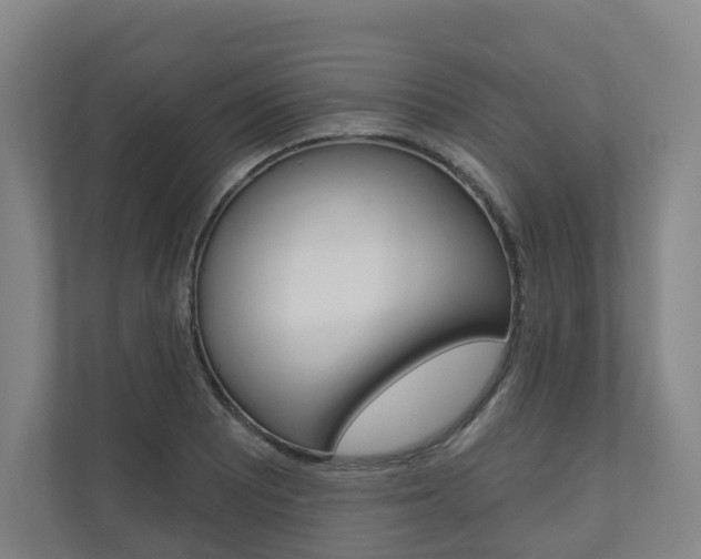 X0000110901081200906180941