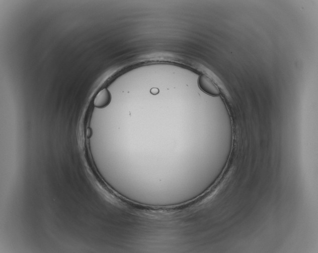 X0000110901082200906180941