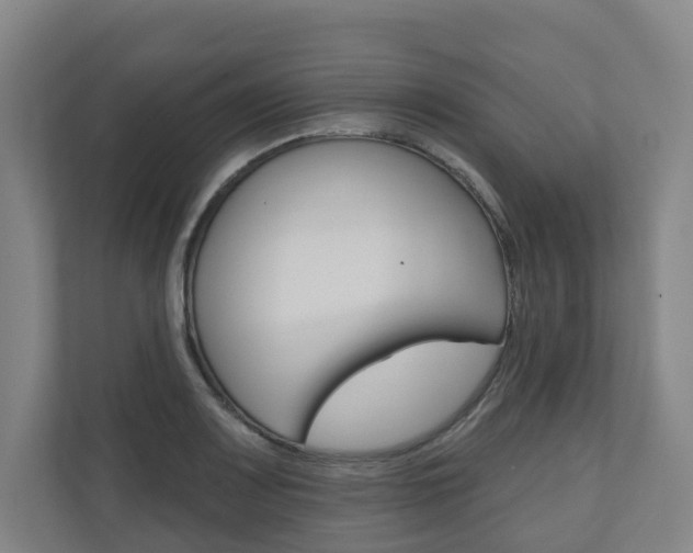 X0000110901083200906180941