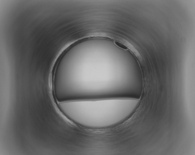 X0000110901084200906180941