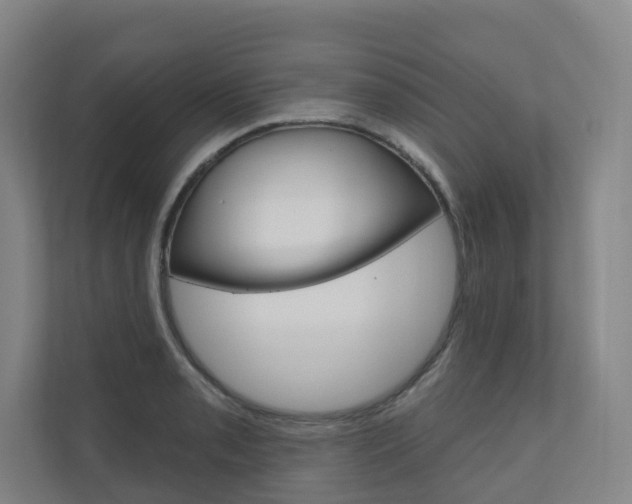 X0000110901085200906180941