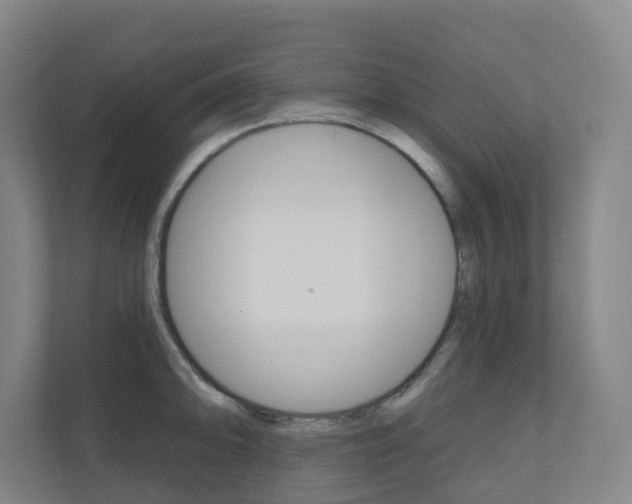 X0000110901094200906180941