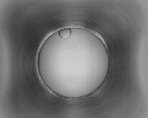 X0000110901096200906180941