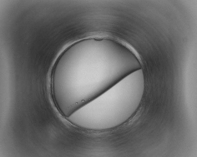 X0000110901099200906180941
