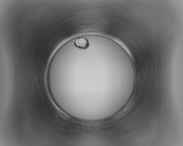 X0000110901101200906180941