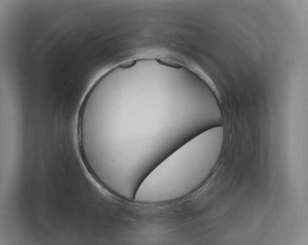 X0000110901103200906180941