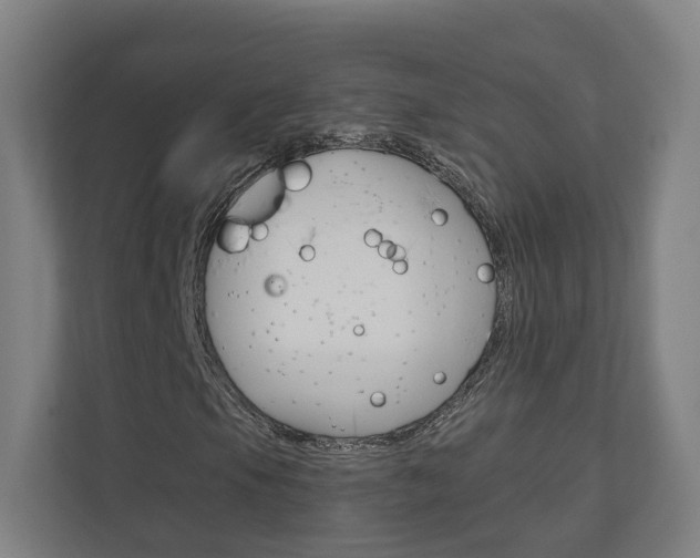 X0000110901105200906180940