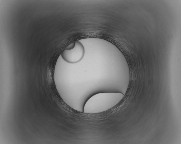 X0000110901106200906180940