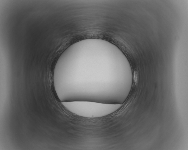 X0000110901107200906180940