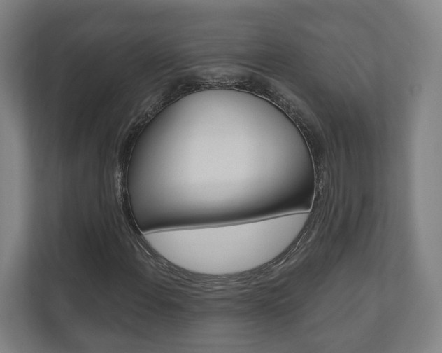 X0000110901108200906180940