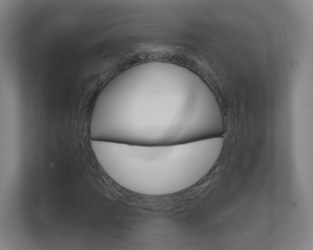 X0000110901109200906180940