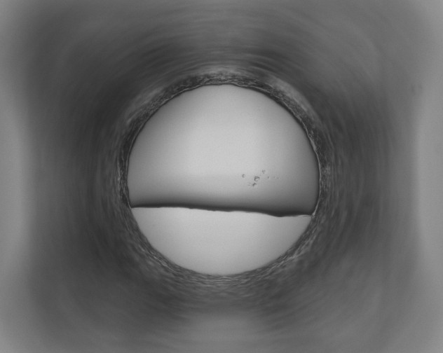 X0000110901111200906180940