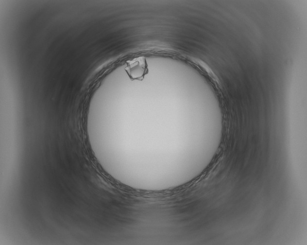 X0000110901112200906180940