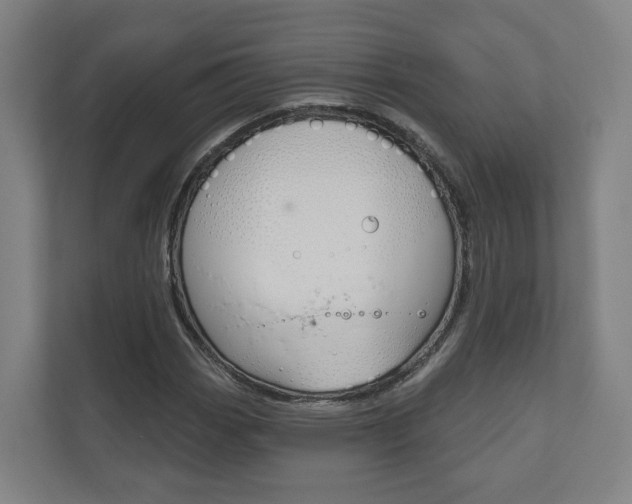 X0000110901113200906180940