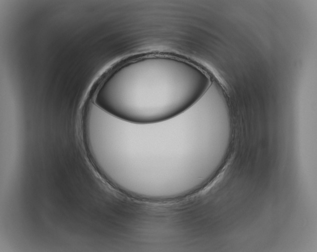 X0000110901118200906180940