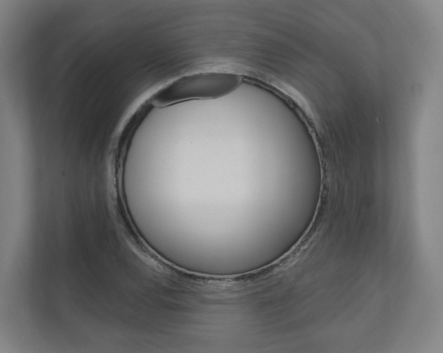 X0000110901120200906180940