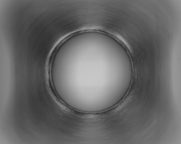 X0000110901124200906180940