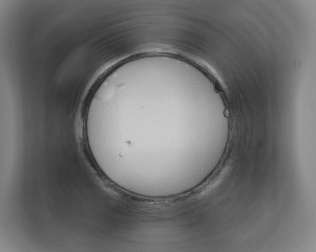 X0000110901125200906180941