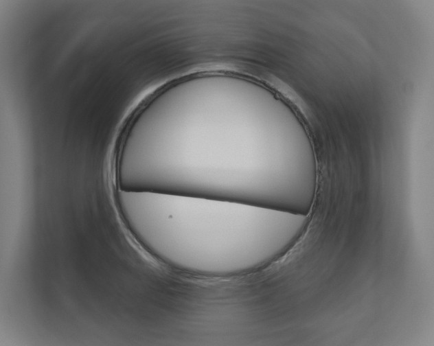 X0000110901127200906180941