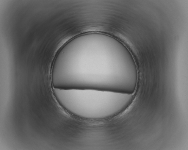 X0000110901129200906180941