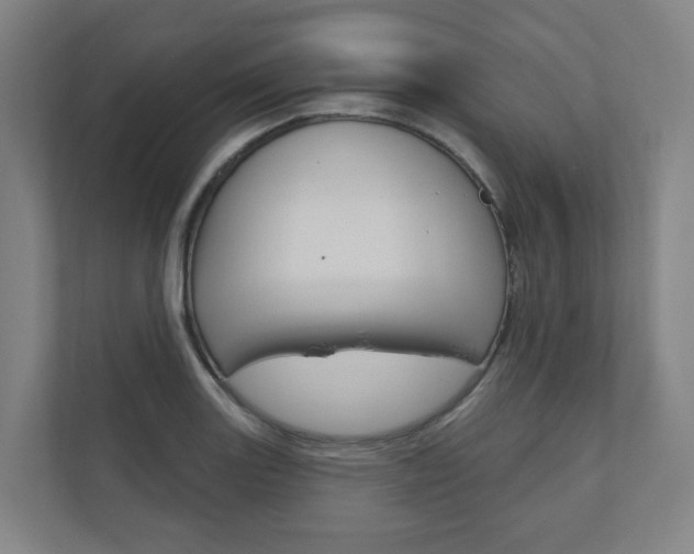 X0000110901131200906180941